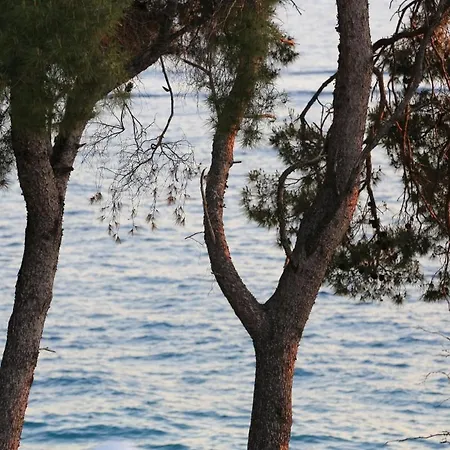 Cosmopolitan Zadar